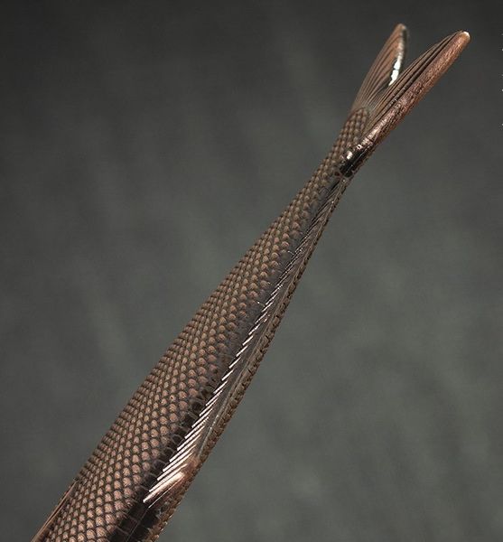 Ретро ніж для подрібнення чайного млинця Риба-меч id_3725 фото