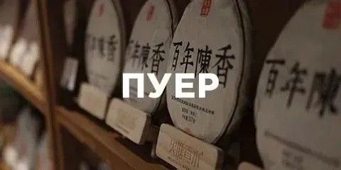 Банер Пуер (1/3) ру